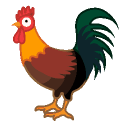 Gallo