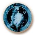 Stier